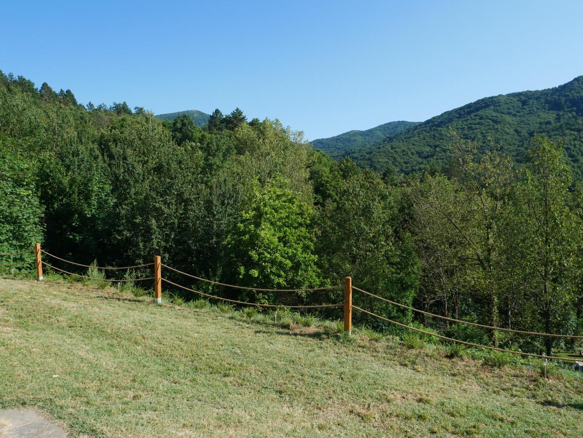 Alive Home Panoramic Garden On Hills Sassello Dış mekan fotoğraf