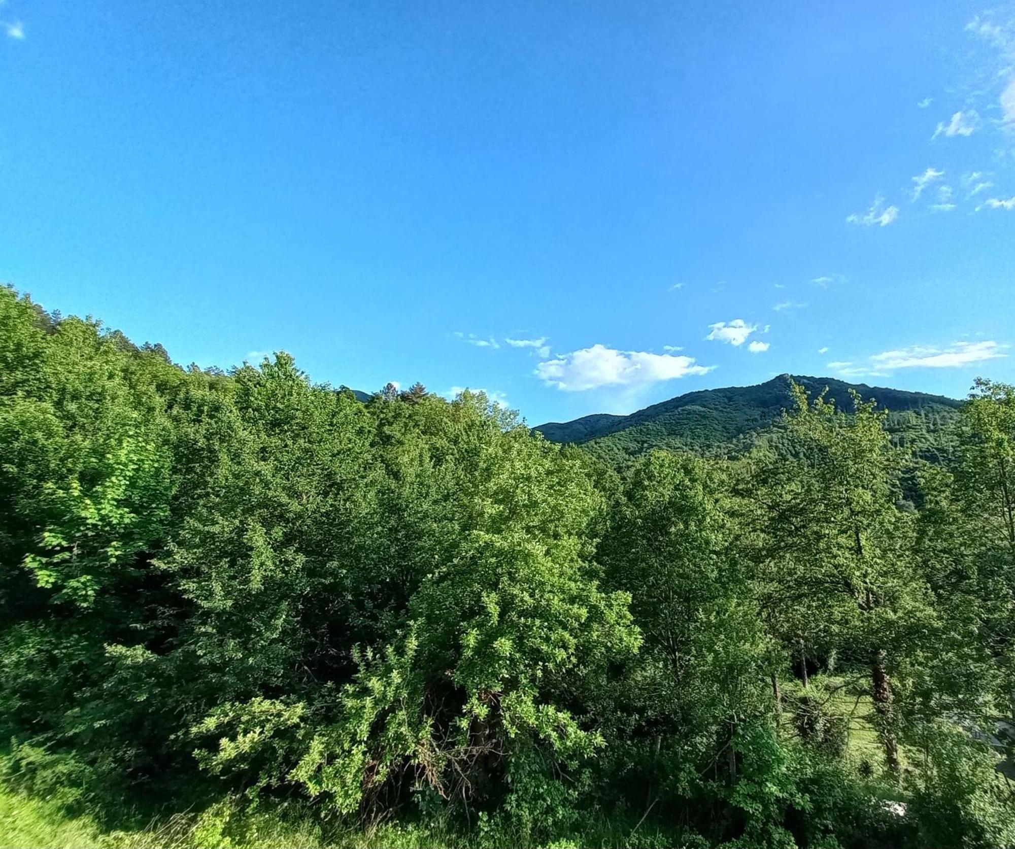 Alive Home Panoramic Garden On Hills Sassello Dış mekan fotoğraf