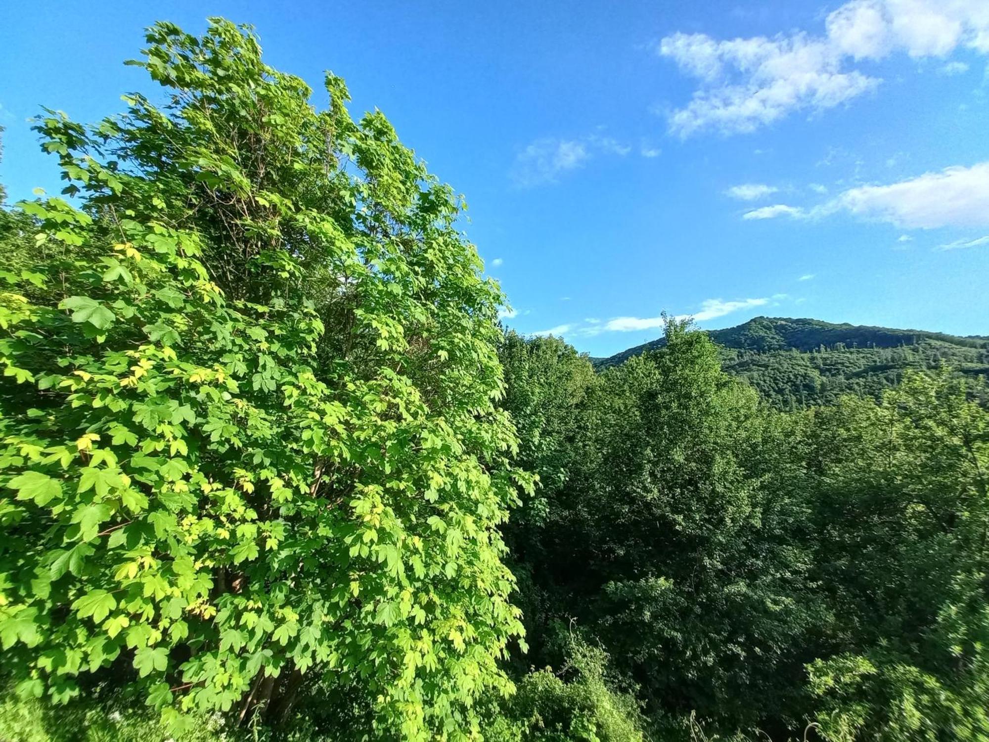 Alive Home Panoramic Garden On Hills Sassello Dış mekan fotoğraf